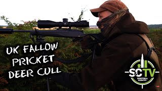 SampC TV  Deer management with Chris Rogers 14  Fallow deer stalking [upl. by Yaned]