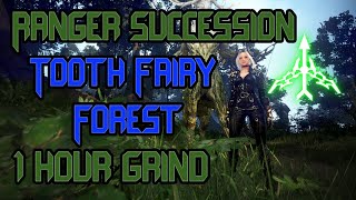 BDO  Succ Ranger PvE l Tooth Fairy Forest [upl. by Tessy]