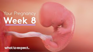 8 Weeks Pregnant  What to Expect [upl. by Mond]