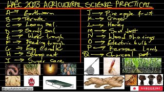 WAEC 2023  Agricultural Science Practical Specimen  WAEC 2023 All Agric Practical Specimen [upl. by Ala]