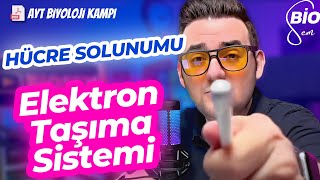 Hücresel Solunum4  Aerobik Solunum ETS  Ayt Biyoloji Konu Anlatımı 12 Sınıf  2024 [upl. by Amoeji]