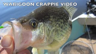 Lake Wabigoon Crappie fishing May 26 [upl. by Ajed]