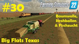 LS22 Big Flats Texas 30 Baumwolle pflücken Fischzucht amp Ballen pressen  Farming Simulator 22 [upl. by Karee793]