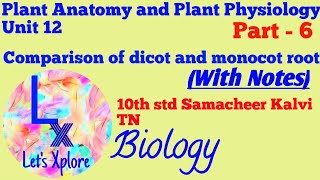 Comparison of Dicot and Monocot Root Plant Anatomy and Plant Physiology Unit 12 10th Std Biology [upl. by Fredrika548]