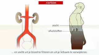 Nieraandoening  Oorzaak en behandeling [upl. by Malvina]