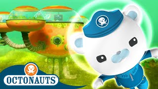 Octonauts  🍃 The Great Algae Escape ⛑️  Season 1  Full Episodes  Cartoons for Kids [upl. by Alwin812]