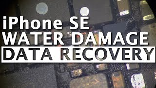 iPhone SE  Water Damage Data Recovery [upl. by Millur355]