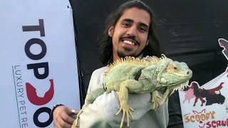 I took my IGUANA to the PETFED 2018  Wildly Indian [upl. by Sil898]