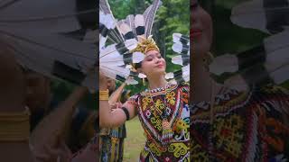 Jenggala Sape Dayak akhirnya rilis juga single di tahun ini sapedayak jenggala dayak [upl. by Jacobsohn]