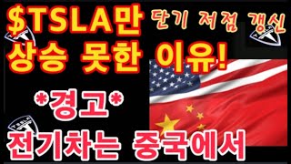 TSLA만 상승 못한 이유 또다시 단기 저점 갱신  전기차는 중국에서 미국 전기차 회사들 경고  테슬라 투자  Tesla 주가 [upl. by Brottman]