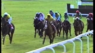 2003 Tote Cheltenham Gold Cup Chase [upl. by Stutman]