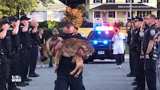 Dying K9 Officer With Liver Cancer Gets Final Salute By Police Department [upl. by Neron]