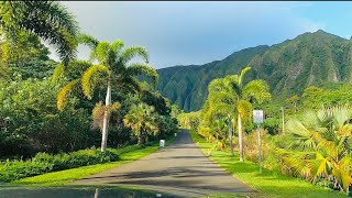 Hoomaluhia Botanical Garden  Oahu Hawaii  Instagrammable Spot 🌸🌺🇺🇸 [upl. by Dnallor]