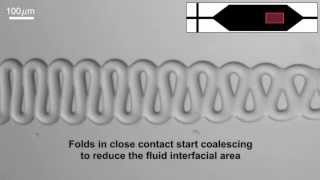 Capillary thread deformation in microfluidic channels [upl. by Sandon]