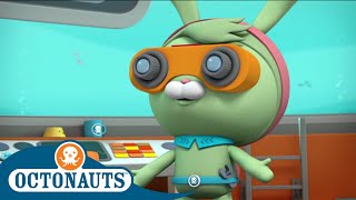 Octonauts  Tweaks Goggles  Cartoons for Kids  Underwater Sea Education [upl. by Olgnaed]