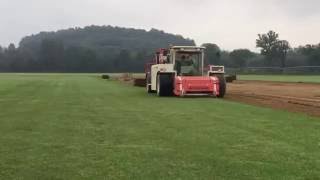 Tall Fescue Harvest Time Lapse [upl. by Huei]