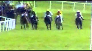 Punchestown 2009 Diageo Sweepstakes 1m7f [upl. by Aicenad]