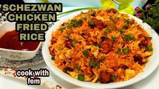 Schezwan Chicken Fried Rice Recipe In Hindi  With Homemade Schezwan Sauce  Cook With Fem [upl. by Anaela830]