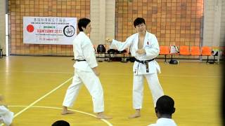 Shotokan Kata  Chinte teach by Naka Tatsuya sensei [upl. by Calabrese]