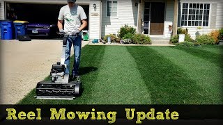 Swardman Reel Mower Striping  Reel Low Project Update [upl. by Eelinnej]