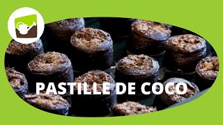 Découvrez les avantages des pastilles de coco naturelles pour réussir vos semis [upl. by Aidin]