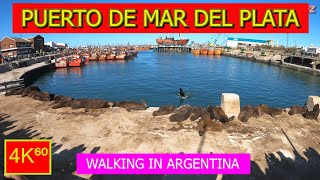 4K⁶⁰  👉 PUERTO DE MAR DEL PLATA ☀️  ARGENTINA  Walking tour  TRAVEL 🌟 [upl. by Nipahc]