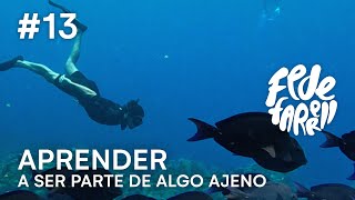 Freediving en ROATAN 🐠 Honduras la ciudad mas peligrosa del mundo [upl. by Oruasi741]