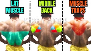 TOP 15 LAT MIDDLE BACK TRAPS WORKOUT WITH DUMBBELLS ONLY AT HOME  MUSCULATION DOS ET TRAPÈZES [upl. by Enattirb787]