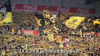 Krefeld Pinguine Die Besten Fans der Welt [upl. by Thebazile441]