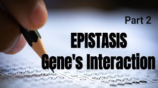 Epistasis Dominant epistasis complementary epistasispolymeric epistasis [upl. by Tichon]