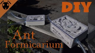 How to make a DIY Ytong formicarium Ant nest Tutorial [upl. by Elberta]