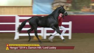 KN 07 v Damon Hill  Lord Loxley [upl. by Varin]