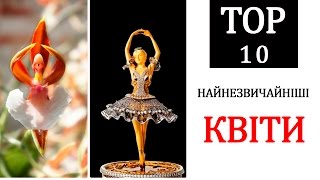 ТОП 10  САМЫЕ НЕВЕРОЯТНЫЕ РАСТЕНИЯ В МИРЕ 🌷👍😍 [upl. by Stasny]