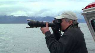 Whales Glaciers amp Rainforest Trails  Shore Excursion  NCL [upl. by Naida48]