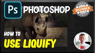 Photoshop How To Use Liquify [upl. by Adnema]