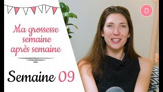 9ème semaine de grossesse – L’échographie du 1er trimestre [upl. by Jacquette]