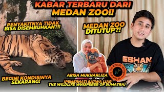 NASIB HARIMAU SUMATERA DI MEDAN ZOO  PENYAKITNYA TIDAK BISA DISEMBUHKAN  3 EKOR HARIMAU M4T1 [upl. by Jollenta]