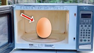 Egg Explodes in a Microwave [upl. by Johppa]