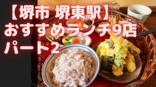 【堺東駅・堺駅】おすすめランチ8選 パート２！前回と同じく、安くて美味しいお店を紹介 [upl. by Kayley]