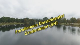 Forellenseen vorgestellt Dorotheental SH [upl. by Aneres]