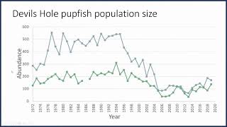 Saving Fish in the Desert  The Pupfish Story with Dr Jennifer Gumm [upl. by Ennaylil]