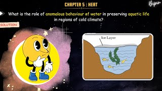 What is the role of anomalous behavior of water in preserving aquatic life in cold climateclass10 [upl. by Aleakcim]