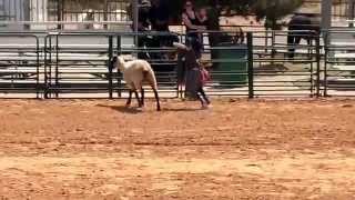 Mutton Bustin Rodeo Clown Clark County Rodeo Logandale NV [upl. by Chasse266]