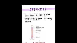 Epiphysis and it’s types ✨ [upl. by Aracahs]