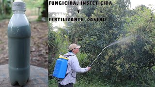 POTENTE Fungicida Insecticida y Fertilizante Casero Plantas Libre de Plagas y muy Hermosas [upl. by Anbul107]