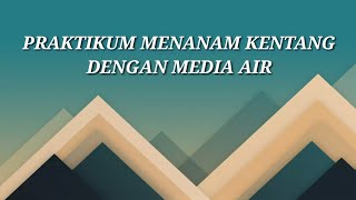 Praktikum Menanam Kentang Dengan Media Air  Kelompok 6  Kelas 9E [upl. by Vinaya362]