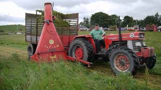 Real Grassmen Single Chop Forage Harvester silage World Record 2011 Dunmore Co Galway [upl. by Maril]