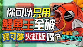 你可以只用一隻鯉魚王全破《寶可夢 火紅版》嗎？鹹魚復仇篇！！！ [upl. by Mar]