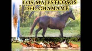 LOS MAJESTUOSOS DEL CHAMAME ENGANCHADOS 03 [upl. by Acysej]