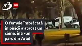 O femeie îmbrăcată în pisică a atacat un câine întrun parc din Arad [upl. by Adnelg]